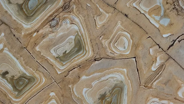 Quartzite Palomino – Image 2